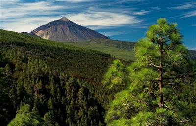 Blick über das Orotava Tal und den Teide